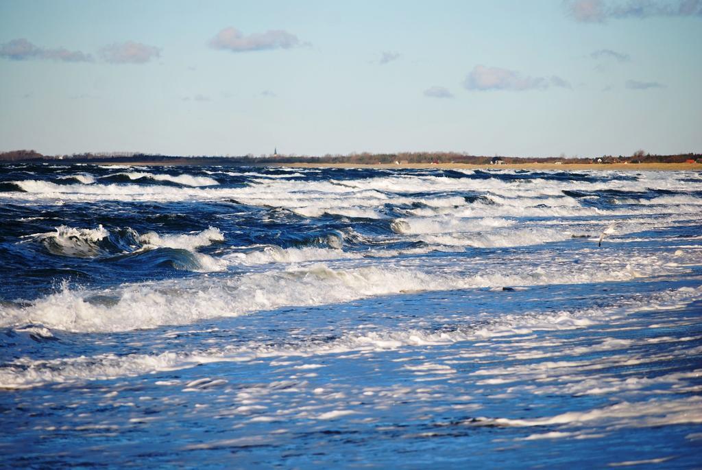 Ferienwohnungen Fischland เดียร์ฮาเกิน ภายนอก รูปภาพ